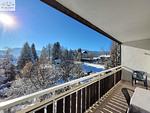 Berge - Apartment Dolce Vita by FiS - Fun in Styria - Top-Hundeurlaub