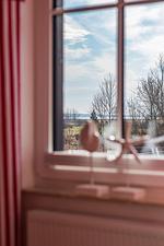 Vogelperspektive - Ferienhaus Bresewitz - Top-Hundeurlaub