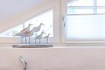 Haus Spinnaker - Top-Hundeurlaub