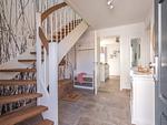 Mien Droom - Top-Hundeurlaub