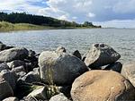 Strand - Ostseelodge zwei - Top-Hundeurlaub
