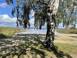 Strand - Ostseelodge eins - Top-Hundeurlaub