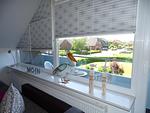 50108 OG-Ferienwohnung "Baltrum" im Haus "Cliner Sünn" - Top-Hundeurlaub