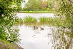 Alte Wassermühle - Hollebek - Top-Hundeurlaub