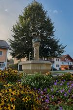 Urlaub mit Hund im Bayerischen Wald – Ihre Auszeit in der Ferienwohnung 4 - Top-Hundeurlaub