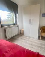 1032 Lachmöwe - Top-Hundeurlaub