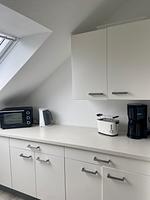 1032 Lachmöwe - Top-Hundeurlaub