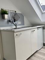 1032 Lachmöwe - Top-Hundeurlaub