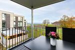 Meerblick - BeltBlick 16 - Top-Hundeurlaub