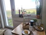 DECK 7 - Top-Hundeurlaub