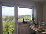 DECK 7 - Top-Hundeurlaub