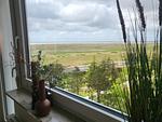 DECK 7 - Top-Hundeurlaub