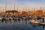 Nachbarschaft - Ferienwohnung "Peters Hafenblick" Baltique Travemünde - Top-Hundeurlaub