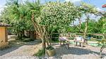 garden - Ferienwohnung für 4 Personen (60 m²) in Gragnano - Top-Hundeurlaub