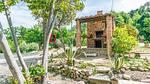 activities - Ferienwohnung für 4 Personen (60 m²) in Gragnano - Top-Hundeurlaub