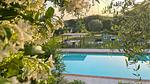 pool - Ferienwohnung für 4 Personen (60 m²) in Gragnano - Top-Hundeurlaub
