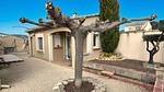 house - Ferienhaus für 2 Personen (25 m²) in Caromb - Top-Hundeurlaub