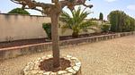 outside - Ferienhaus für 2 Personen (25 m²) in Caromb - Top-Hundeurlaub