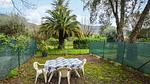outside - Ferienhaus für 4 Personen (47 m²) in Vignale - Top-Hundeurlaub
