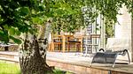 outside - Ferienhaus für 5 Personen (114 m²) in Nysted - Top-Hundeurlaub