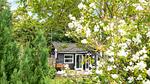 outside - Ferienhaus für 5 Personen (114 m²) in Nysted - Top-Hundeurlaub