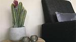 living-room - Ferienhaus für 4 Personen (62 m²) in Wolphaartsdijk - Top-Hundeurlaub