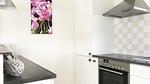 kitchen - Ferienhaus für 4 Personen (62 m²) in Wolphaartsdijk - Top-Hundeurlaub