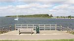 house - Ferienhaus für 4 Personen (62 m²) in Wolphaartsdijk - Top-Hundeurlaub