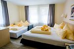 Hotel Mainaublick am Bodensee - Top-Hundeurlaub