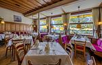 Hotel Mainaublick am Bodensee - Top-Hundeurlaub