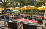 Hotel Mainaublick am Bodensee - Top-Hundeurlaub