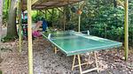 outside - Ferienhaus für 6 Personen (52 m²) in Rijssen-Holten - Top-Hundeurlaub