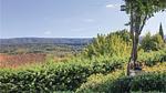 view-from-room - Ferienhaus für 8 Personen (130 m²) in Goult - Top-Hundeurlaub