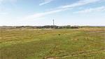 house - Ferienhaus für 6 Personen (86 m²) in Hvide Sande - Top-Hundeurlaub