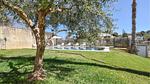 pool - Ferienhaus für 23 Personen (300 m²) in Balestrate - Top-Hundeurlaub