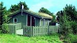 exterior - Ferienhaus für 8 Personen (94 m²) in Pandrup - Top-Hundeurlaub
