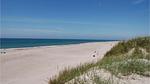house - Ferienhaus für 6 Personen (70 m²) in Hvide Sande - Top-Hundeurlaub