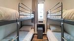 bed - Ferienhaus für 6 Personen (60 m²) in Hellendoorn - Top-Hundeurlaub