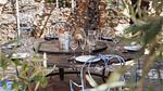 outside - Ferienhaus für 10 Personen (300 m²) in Rochefort Du Gard - Top-Hundeurlaub