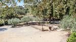 outside - Ferienhaus für 10 Personen (300 m²) in Rochefort Du Gard - Top-Hundeurlaub