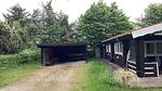 Outdoor - Ferienhaus für 6 Personen (66 m²) in Nakskov - Top-Hundeurlaub