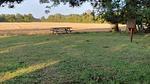 Untagged - Ferienhaus für 6 Personen (66 m²) in Nakskov - Top-Hundeurlaub