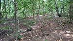 Untagged - Ferienhaus für 7 Personen (81 m²) in Toftlund - Top-Hundeurlaub