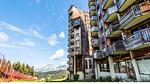 ExteriorSummer - Ferienwohnung für 5 Personen (24 m²) in Avoriaz - Top-Hundeurlaub