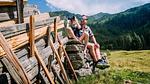AreaSummer5KM - Ferienwohnung für 4 Personen (78 m²) in Wald im Pinzgau - Top-Hundeurlaub