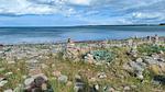 WaterView - Ferienhaus für 6 Personen (77 m²) in Martofte - Top-Hundeurlaub