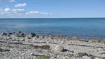 WaterView - Ferienhaus für 6 Personen (77 m²) in Martofte - Top-Hundeurlaub