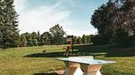 ExteriorSummer - Ferienwohnung für 3 Personen (24 m²) in La Roche-Posay - Top-Hundeurlaub