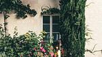 ExteriorSummer - Ferienwohnung für 3 Personen (24 m²) in La Roche-Posay - Top-Hundeurlaub