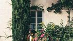 ExteriorSummer - Ferienwohnung für 3 Personen (24 m²) in La Roche-Posay - Top-Hundeurlaub